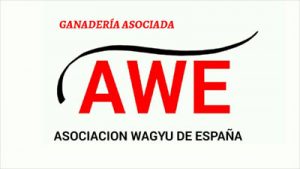 awe-asociado