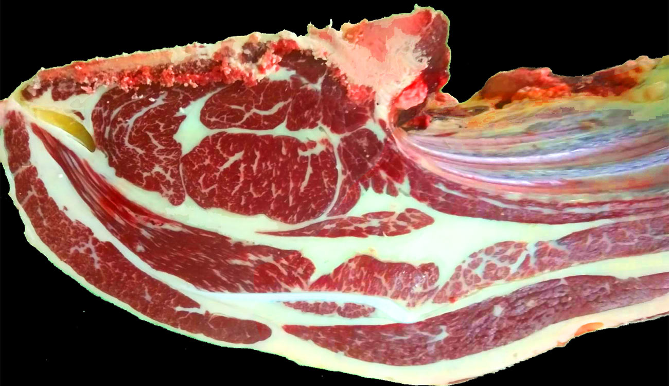 chuleton-wagyu-dehesa